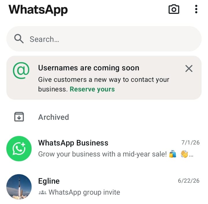 WhatsApp Username 